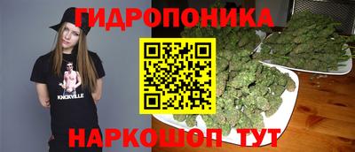 ALPHA PVP Сланцы