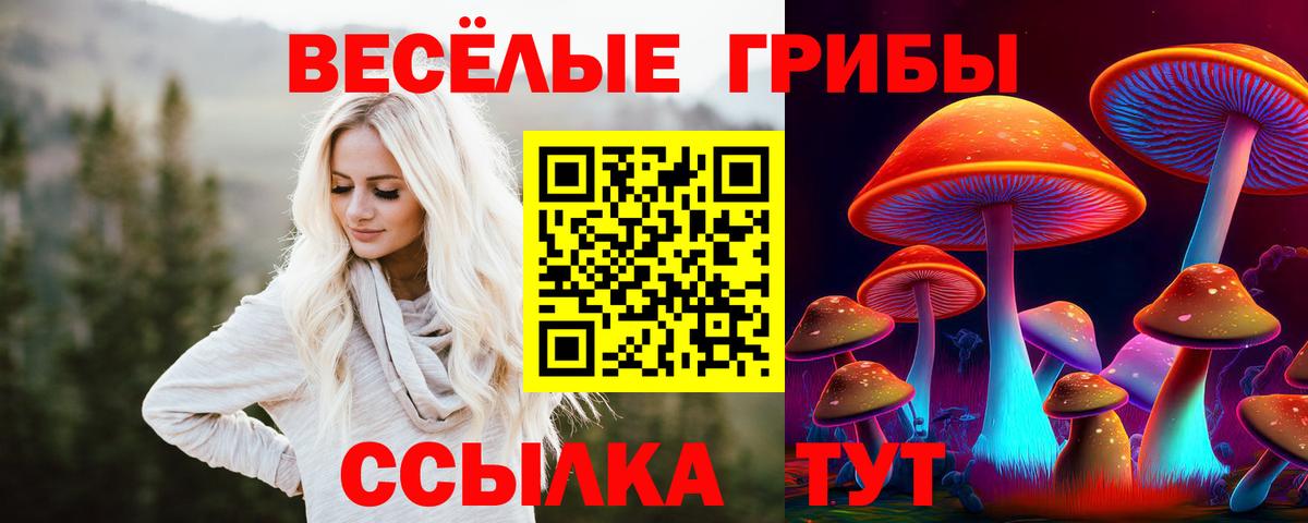 Новоуральск  Галлюциногенные грибы GOLDEN TEACHER  Вход с VPN  Псилоцибиновые грибы мухоморы 